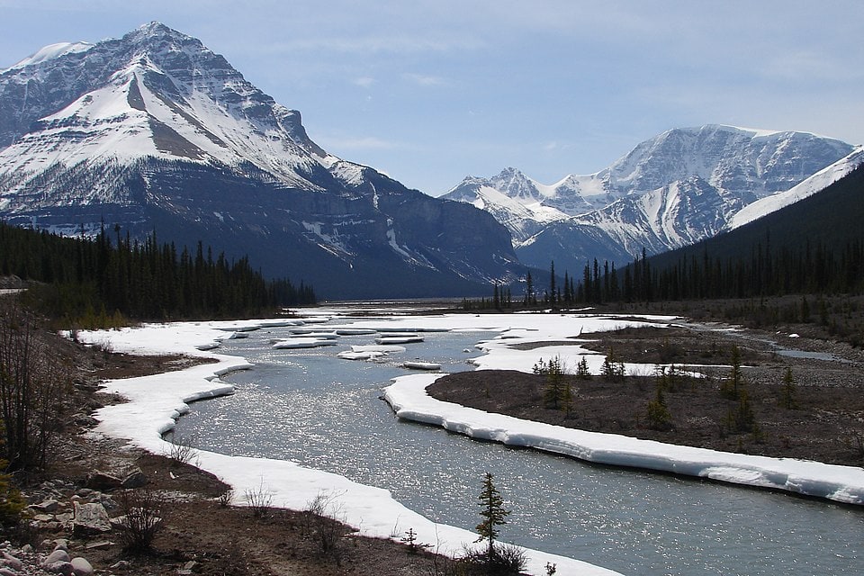 Icefields Parkway mountain landscape with snow, river, evergreen trees, and Canadian Rockies scenery