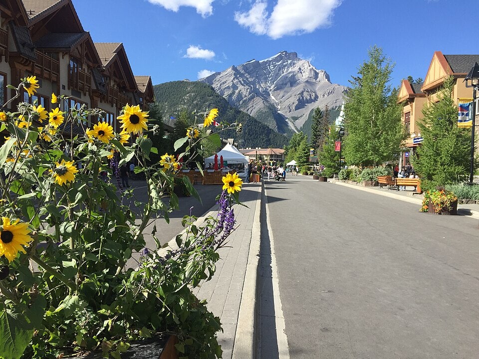 Banff town street with sunflowers, shops, mountain views, and blue sky