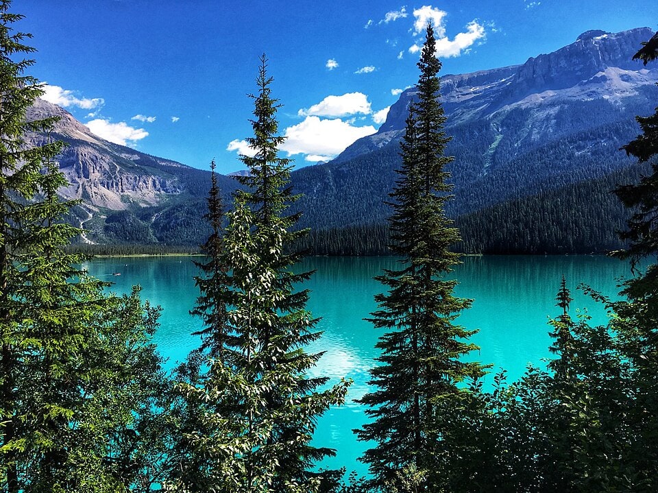 Emerald Lake in Yoho National Park with turquoise water, evergreen trees, and Canadian Rockies mountain scenery