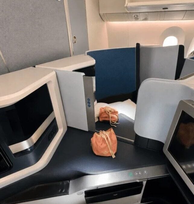 Luxurious business class airplane seats