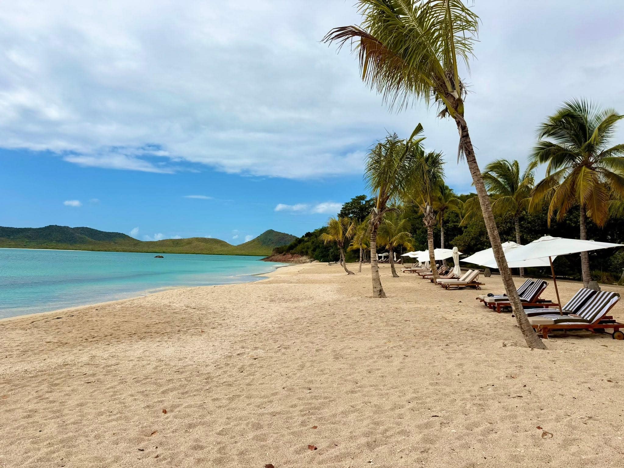 Palm-lined beach at Hermitage Bay Antigua with lounge chairs, white sand, and calm turquoise Caribbean waters.