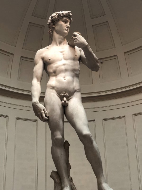 Michelangelo's David statue displayed in the Galleria dell'Accademia in Florence, Italy
