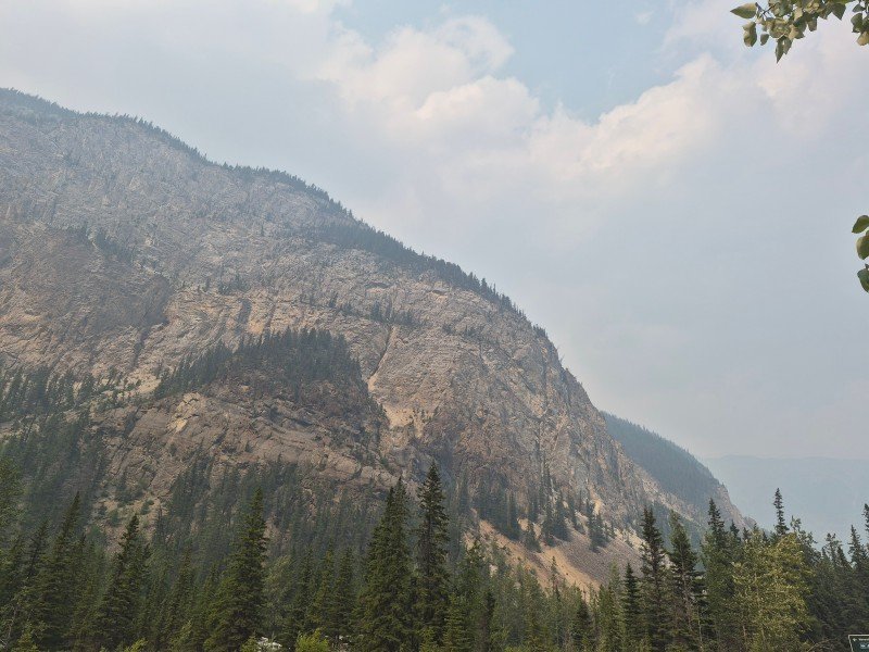 Rocky mountain cliffs and evergreen forest along the scenic drive toward Golden, British Columbia