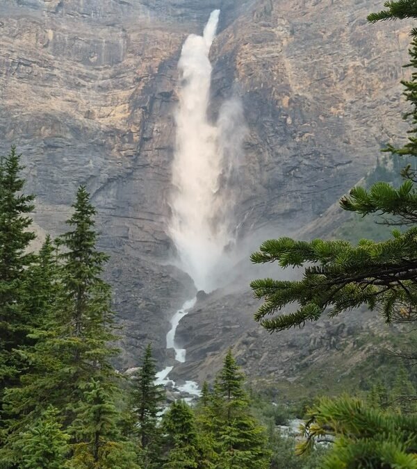 Takakkaw Falls cascading down a steep mountain cliff in Yoho National Park