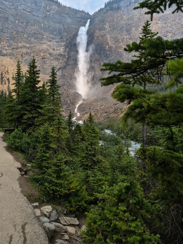 Walking path through evergreen trees leading toward Takakkaw Falls in Yoho National Park
