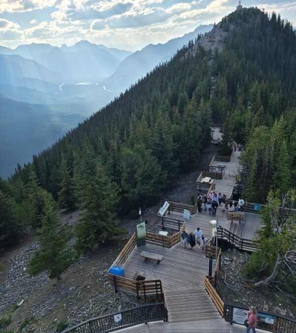 Wooden boardwalk and stairs climbing Sulphur Mountain toward the Cosmic Ray Station