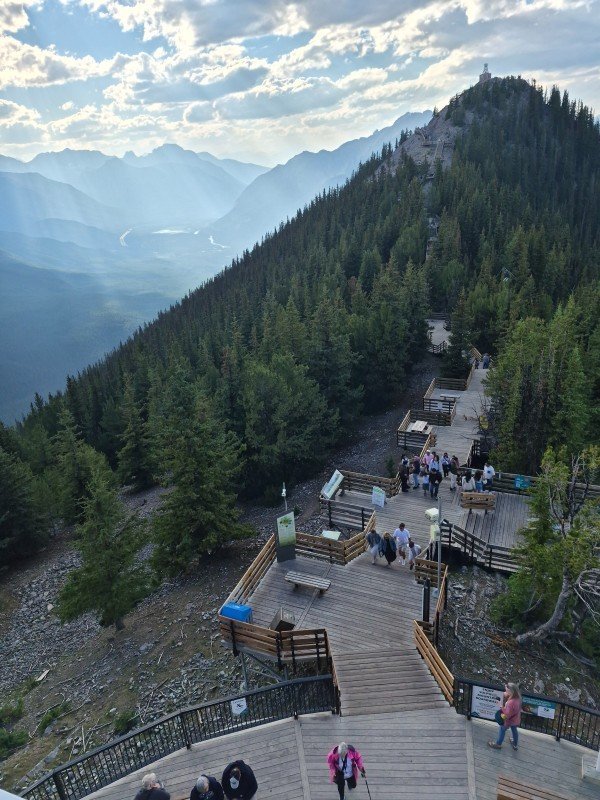 Wooden boardwalk and stairs climbing Sulphur Mountain toward the Cosmic Ray Station