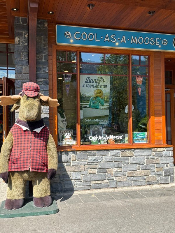 Cool As A Moose souvenir shop with moose statue in downtown Banff