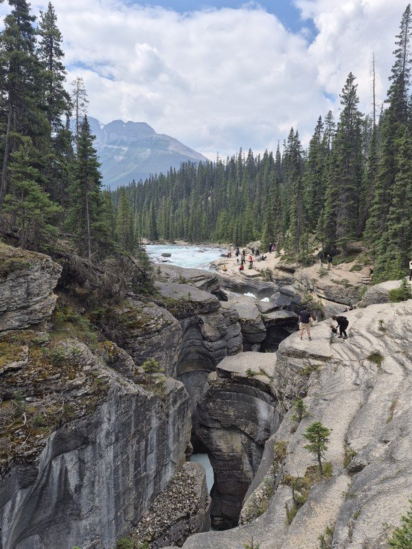 Mistaya Canyon gorge surrounded by evergreen forest and Canadian Rockies