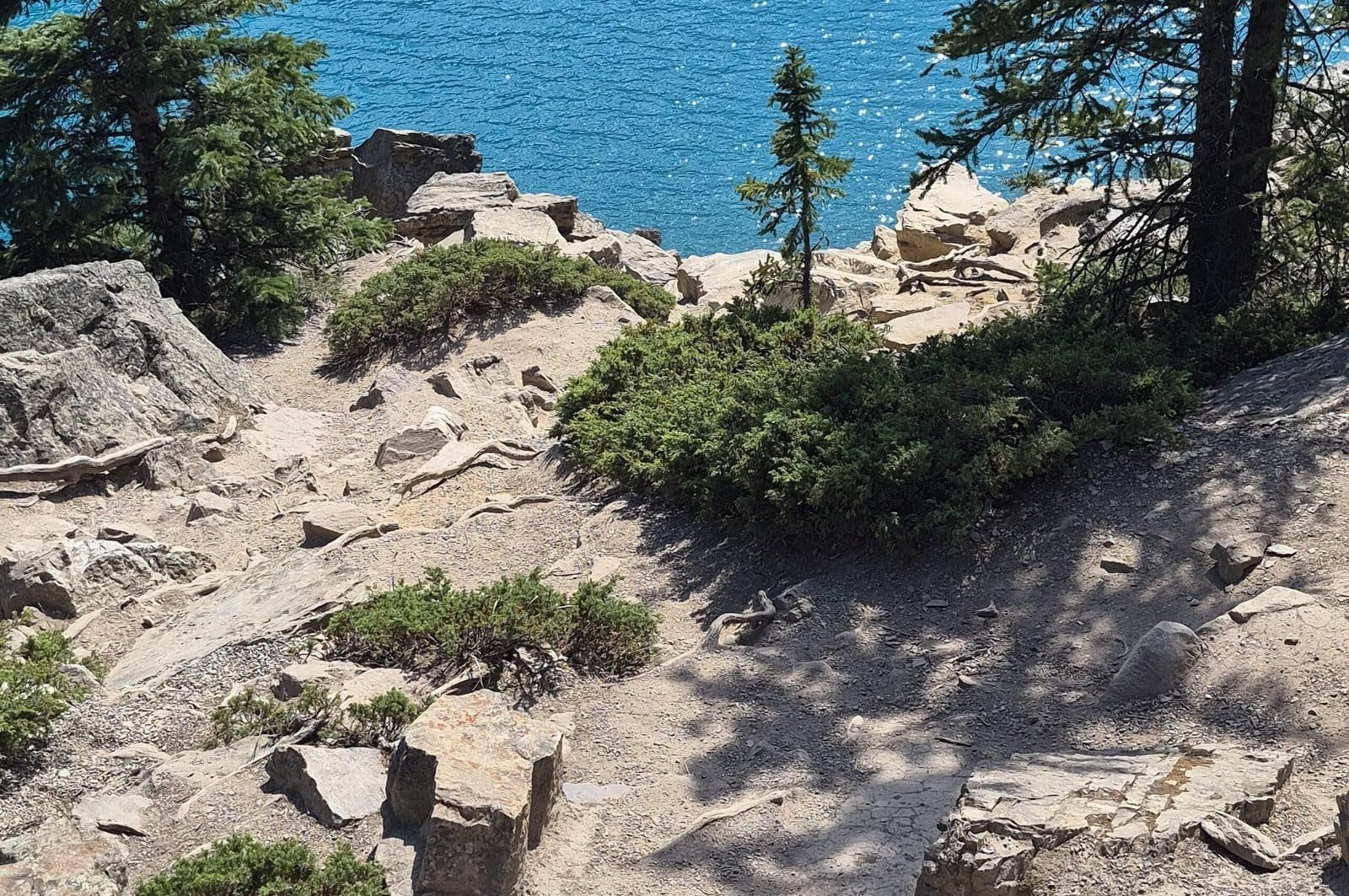 Rockpile Trail path overlooking the turquoise water of Moraine Lake