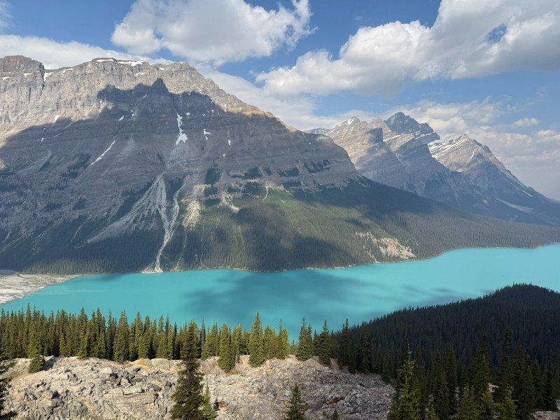 Panoramic view of turquoise Peyto Lake and the Canadian Rockies