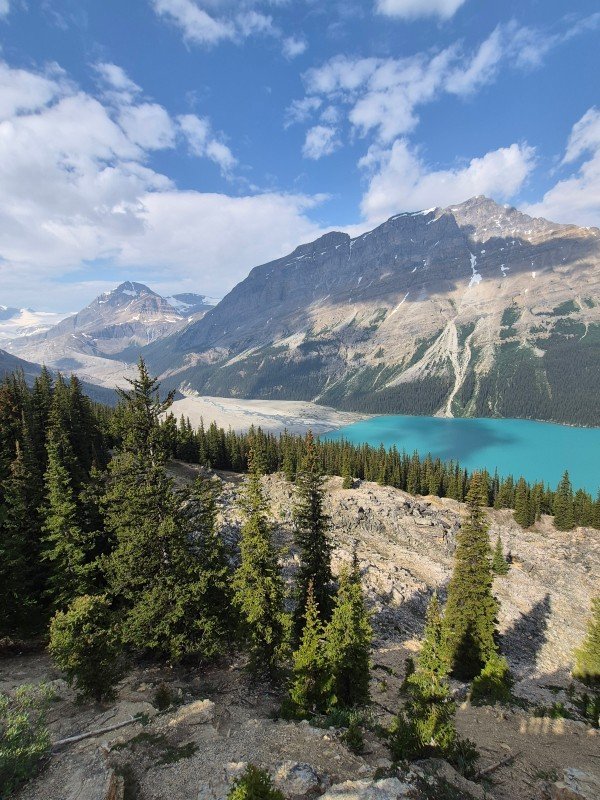 Turquoise Peyto Lake and surrounding mountains from the viewpoint