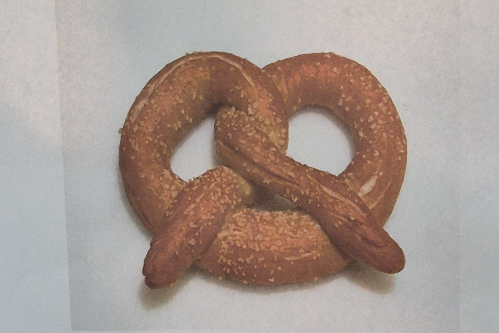 Pretzel priced at $13.99 at Saskatchewan River Crossing